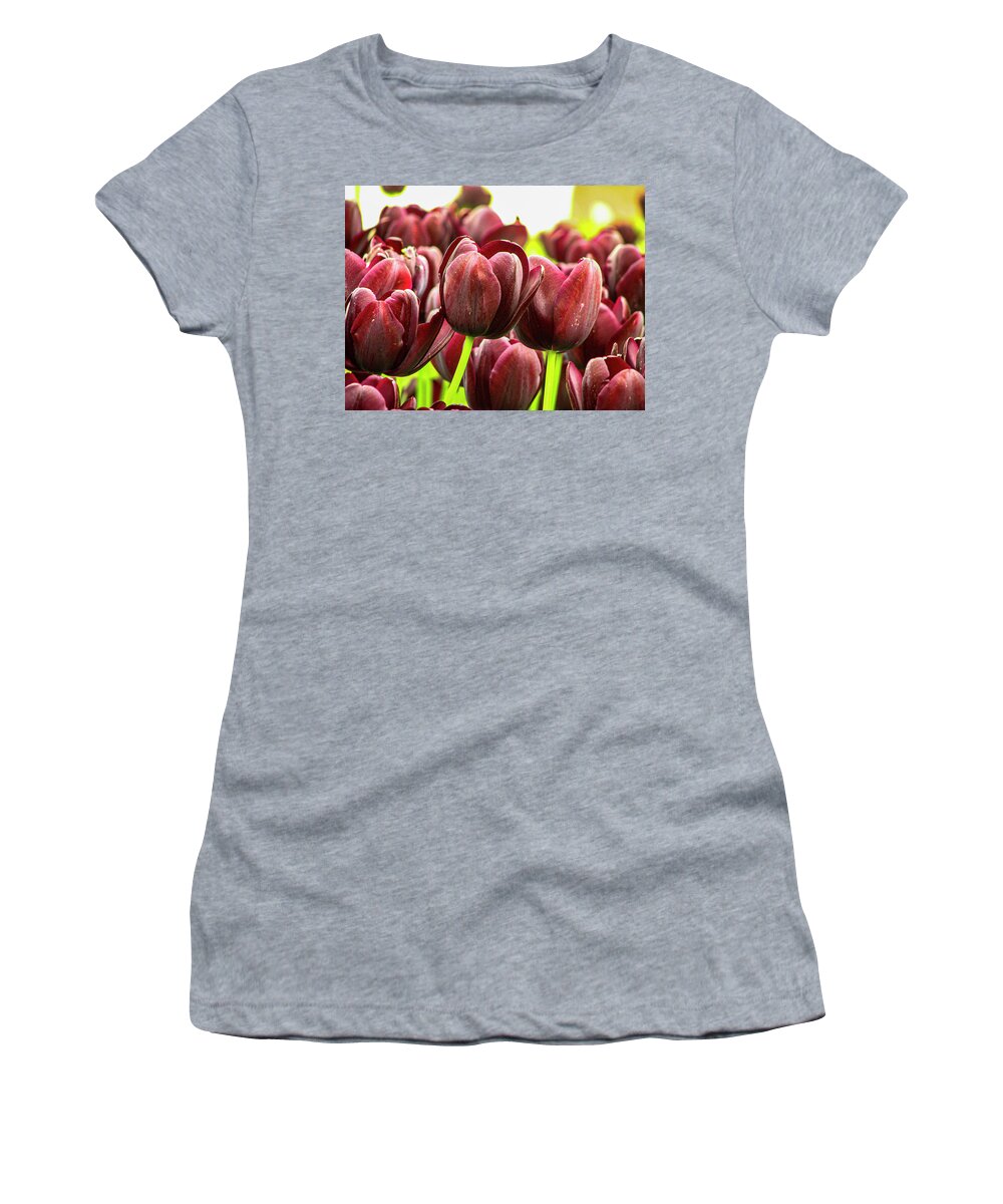 Tulip Women's T-Shirt featuring the photograph Black Tulips #1 by Aydin Gulec