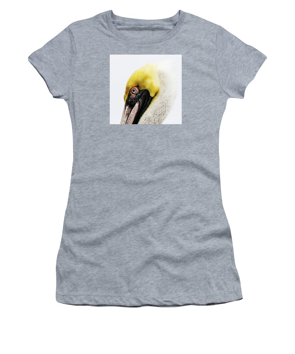 Brown Pelican Women's T-Shirt featuring the photograph Brown Pelican Profile #1 by Joanne Carey