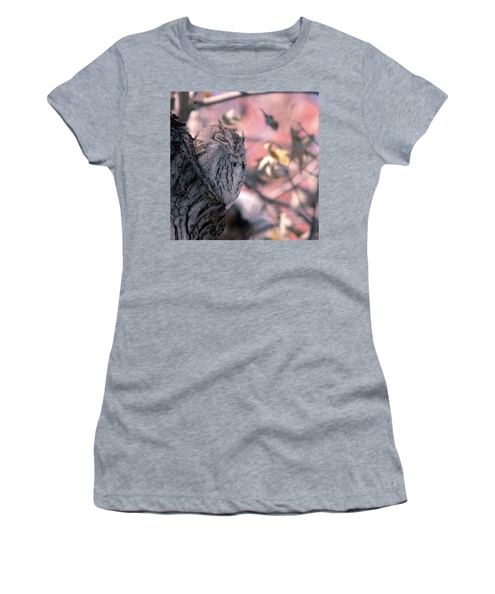 Owl Women's T-Shirt featuring the photograph Eastern Screech Owl in Fall #1 #1 by Mindy Musick King