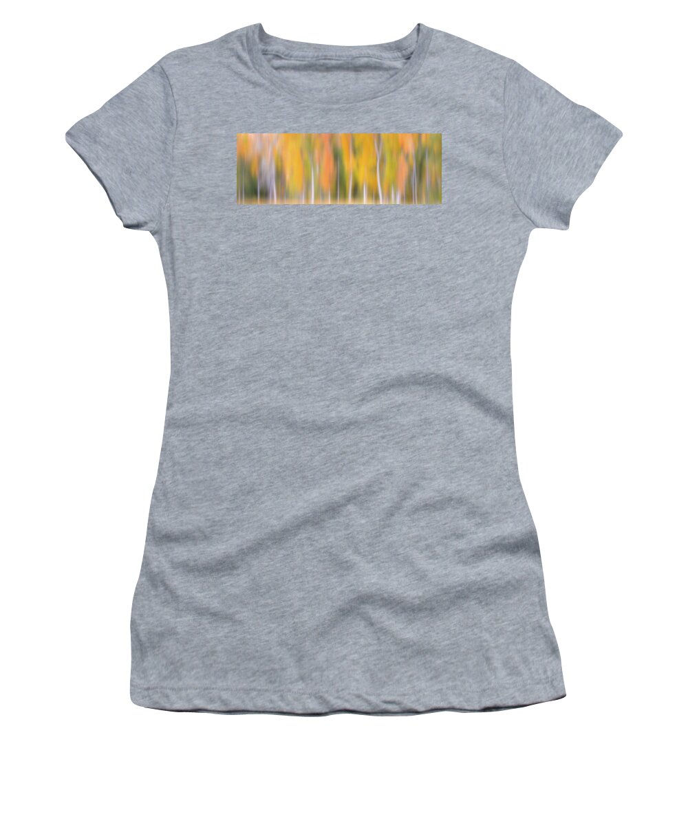 Fall Colors Women's T-Shirt featuring the photograph Flavors of the Forest #1 by Darren White