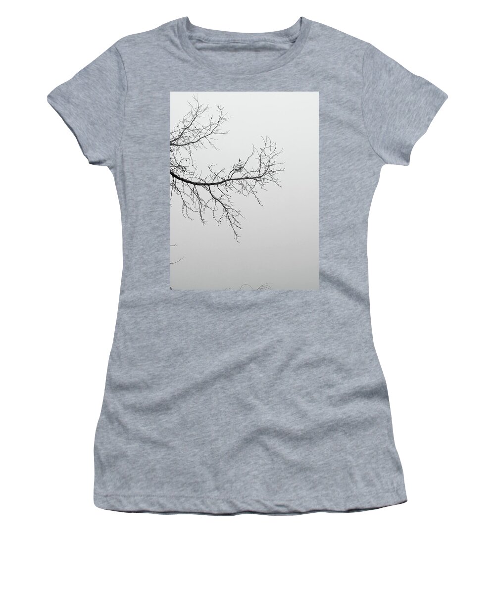 Black Women's T-Shirt featuring the photograph Foggy Morning In The Forest In Monotone #1 by Alex Grichenko