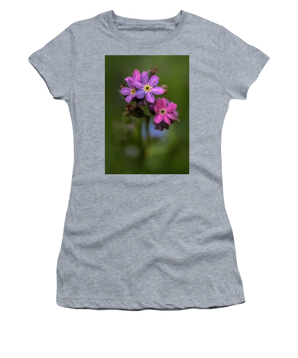 Flower Women's T-Shirt featuring the photograph Forget-me-not #1 by Jaroslaw Blaminsky
