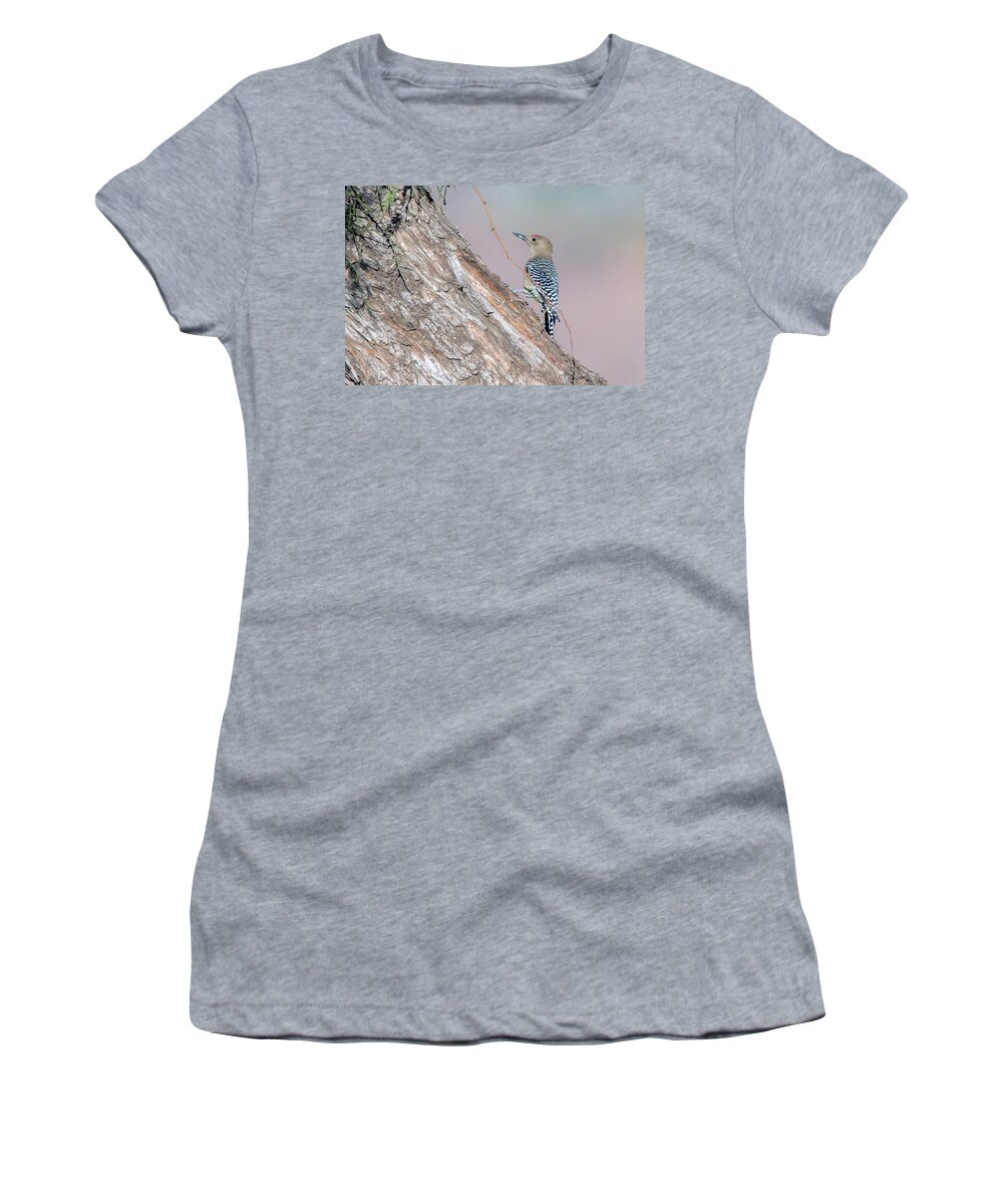 Gila Woodpecker Women's T-Shirt featuring the photograph Gila Woodpecker 3665-020119 by Tam Ryan