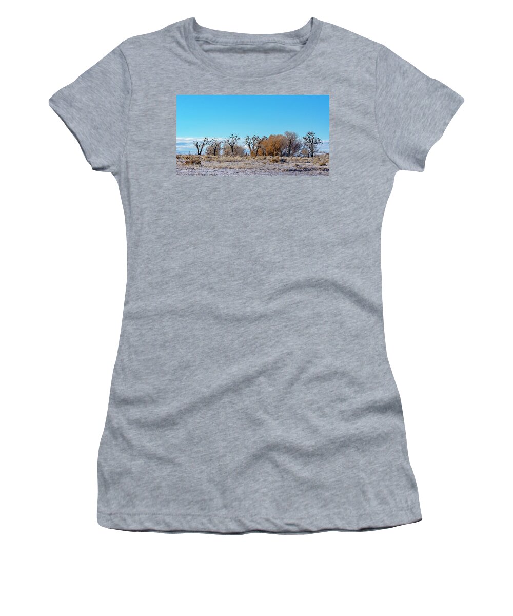 Rookery Women's T-Shirt featuring the photograph Great Blue Heron Rookery 2 by Rick Mosher