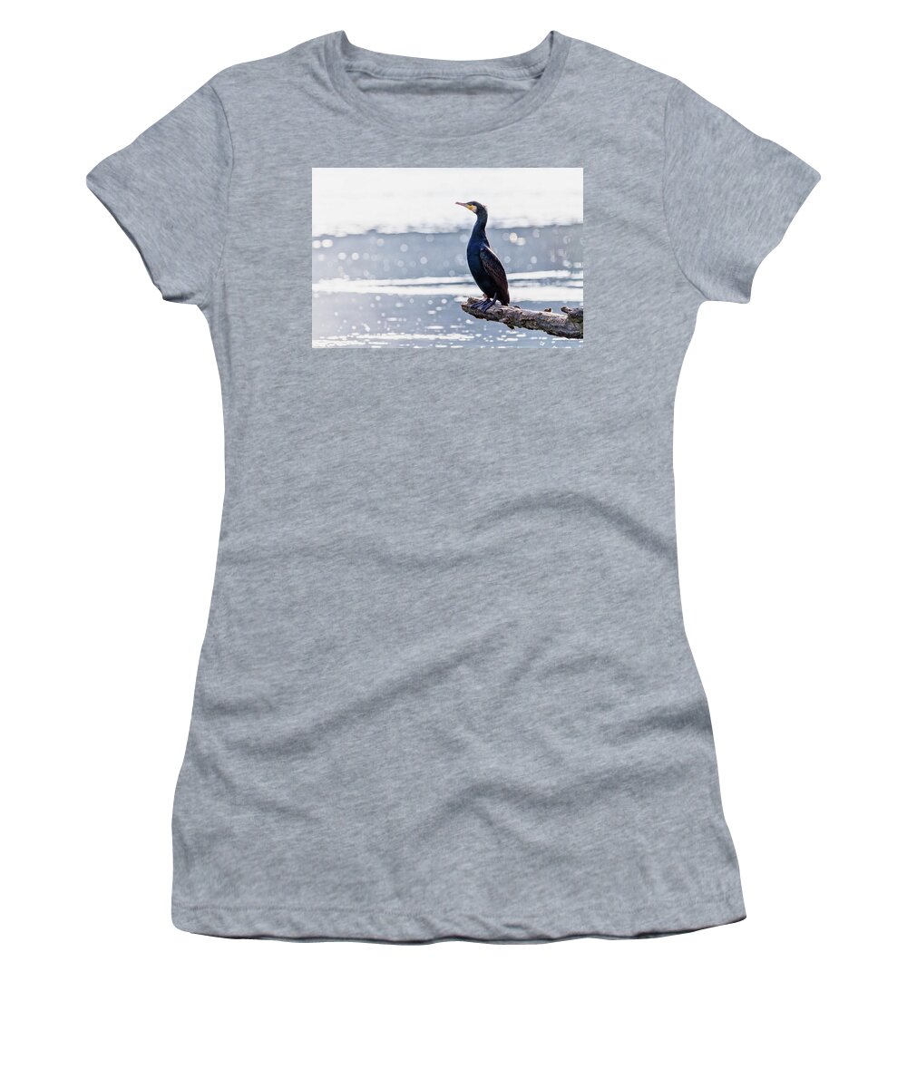 Bird Women's T-Shirt featuring the photograph Great cormorant, Phalacrocorax carbo, standing peacefully on a branch #1 by Elenarts - Elena Duvernay photo