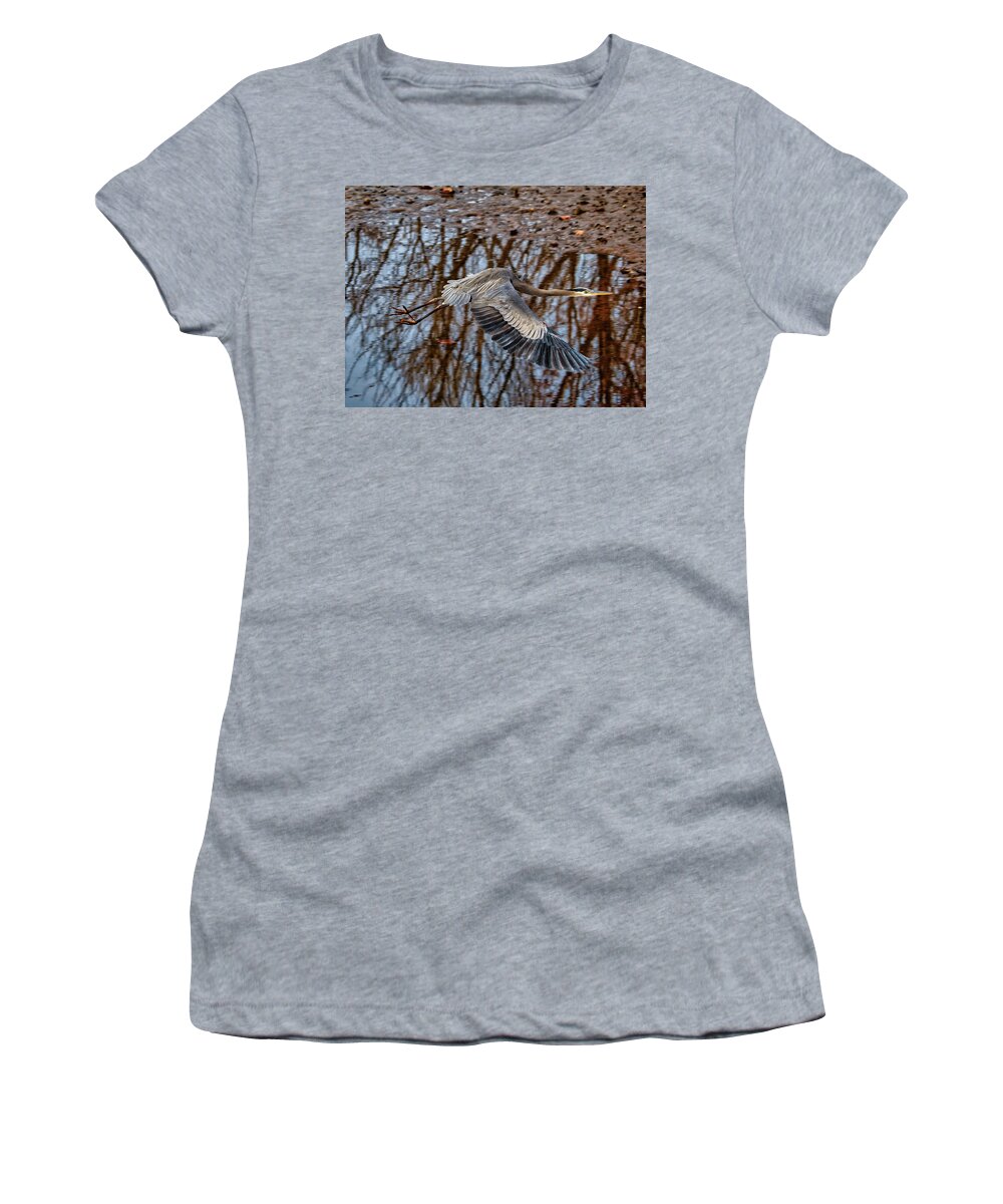 Birds Women's T-Shirt featuring the photograph Heron in flight #1 by Paul Ross
