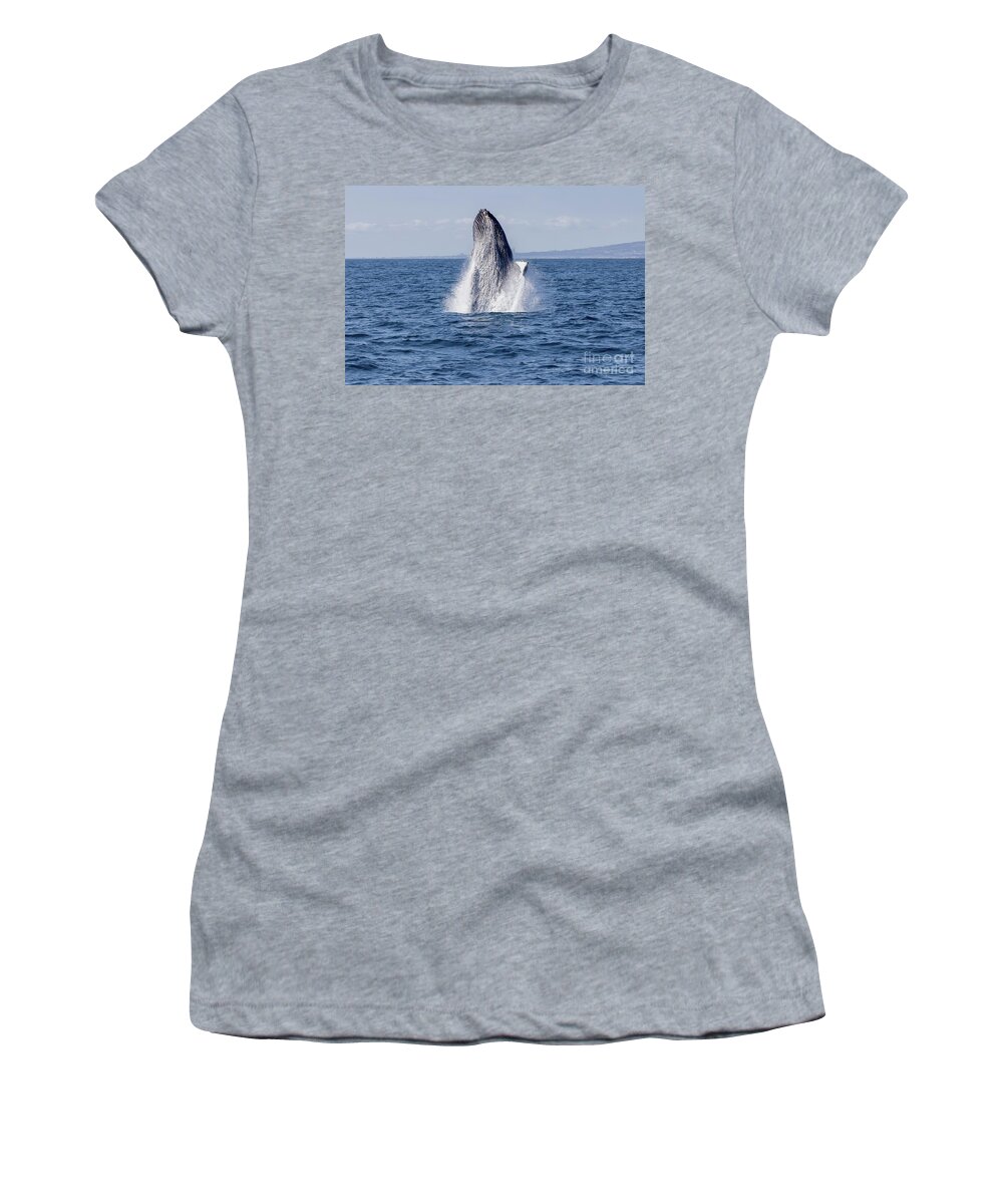 Dana Wharf Women's T-Shirt featuring the photograph Humpback Whale Breaching #1 by Loriannah Hespe