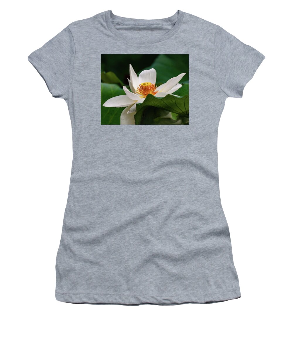 Lotus Women's T-Shirt featuring the photograph Lotus Flower #2 by Flees Photos