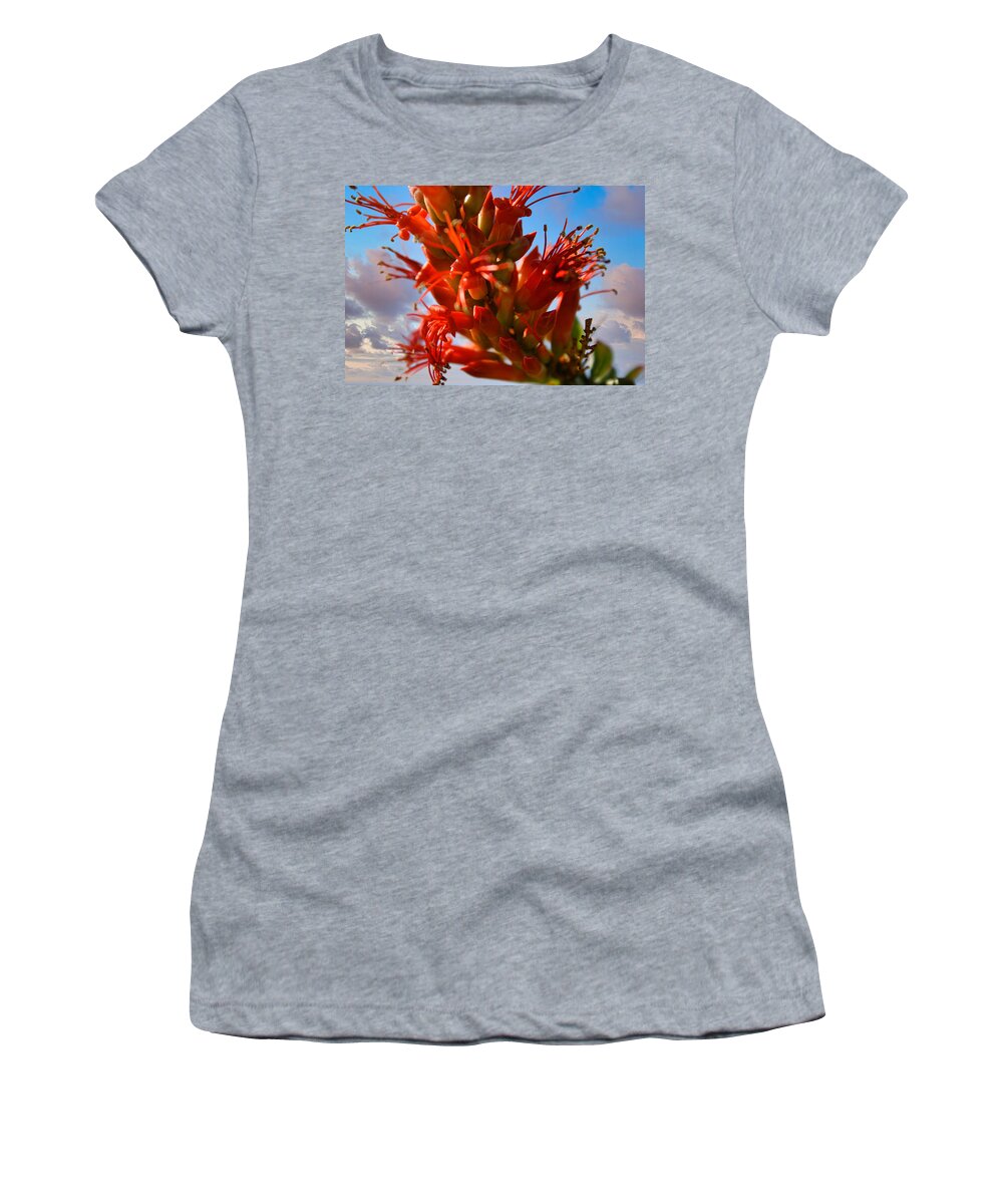 Ocotillo Bloom Women's T-Shirt featuring the photograph Ocotillo Bloom by Gene Taylor