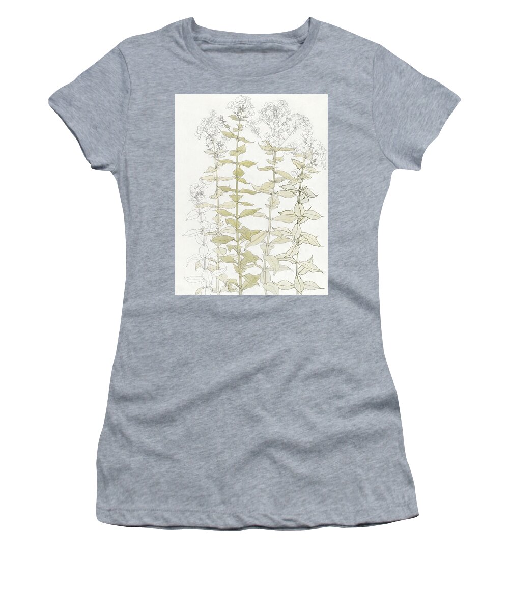 Antique Women's T-Shirt featuring the painting Phlox color sketch by Julie de Graag #1 by MotionAge Designs