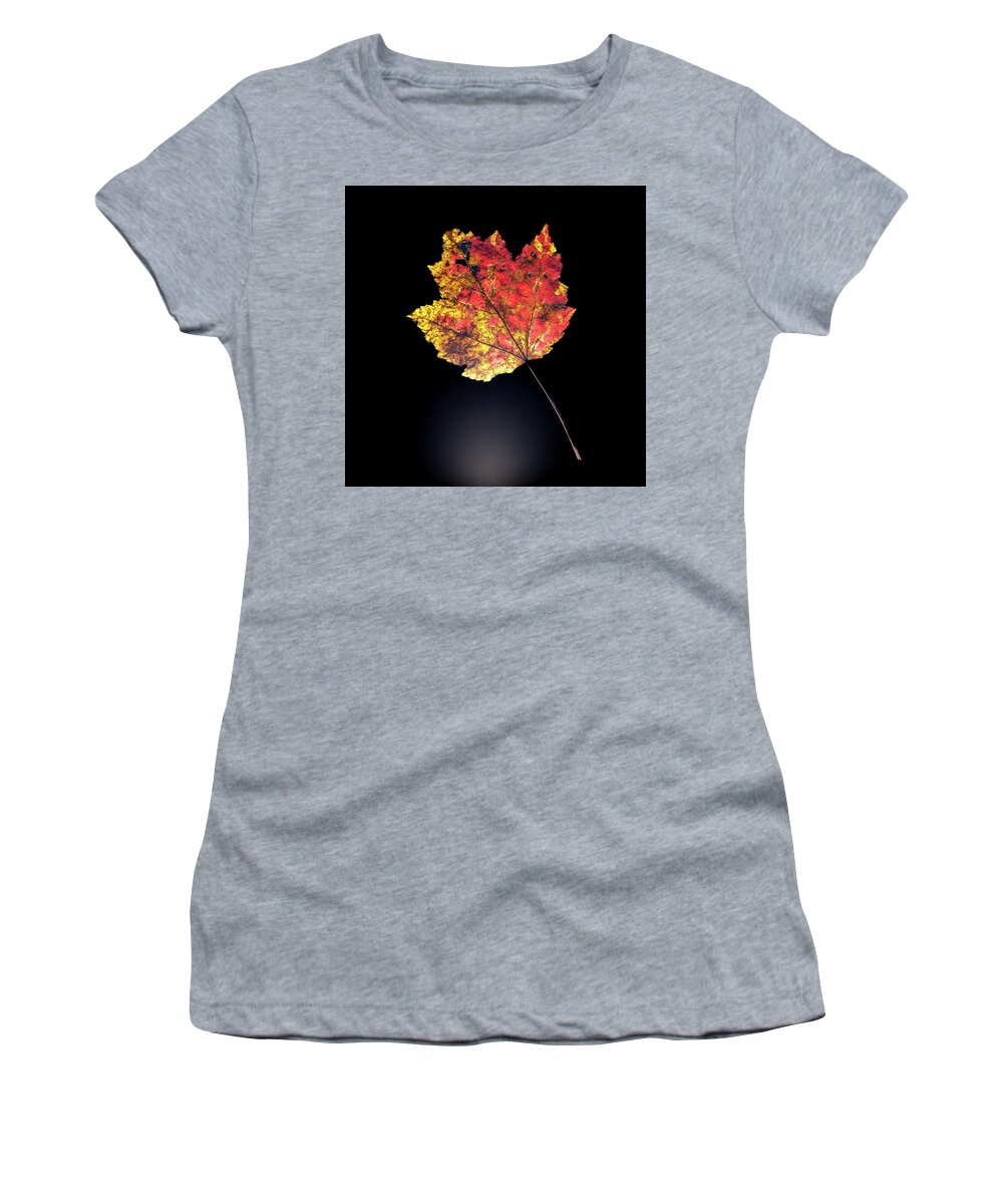 Autumn Women's T-Shirt featuring the photograph Preserving Autumn by Kevin Suttlehan