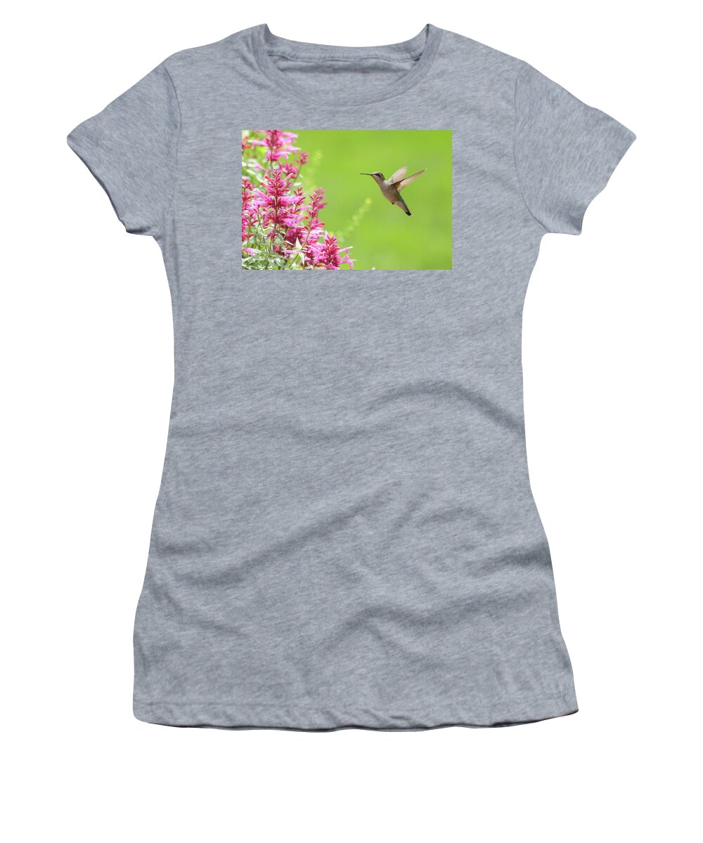 Ruby Throated Humingbird Women's T-Shirt featuring the photograph Ruby Throated Humingbird #1 by Brook Burling