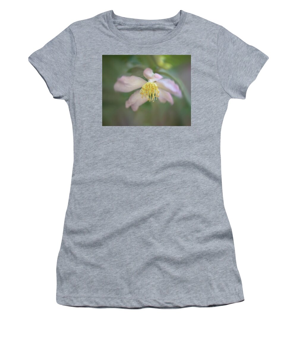 Flower Women's T-Shirt featuring the photograph Soft Pink Camellia #1 by Teresa Wilson