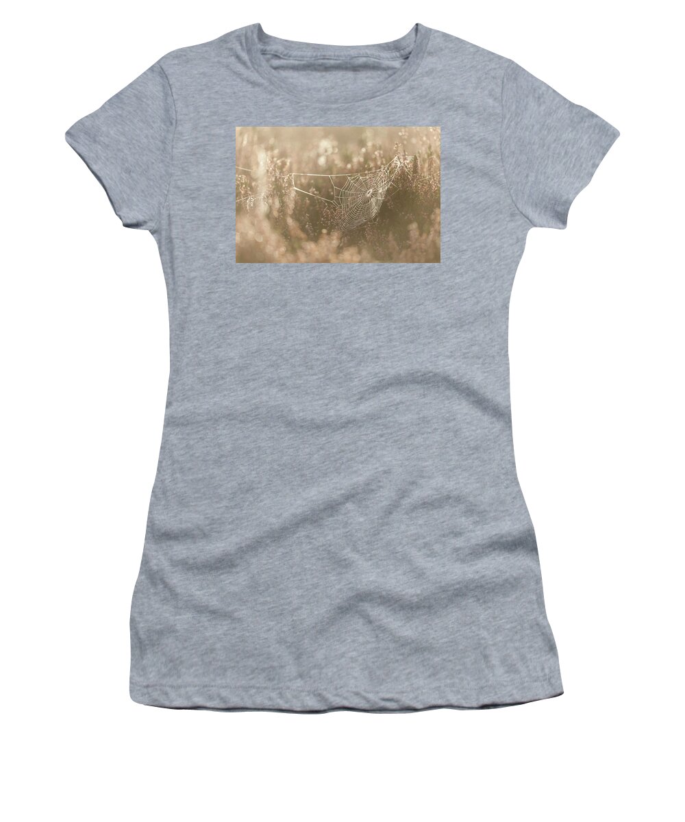 Spider Web Women's T-Shirt featuring the photograph Spider Web by Anita Nicholson