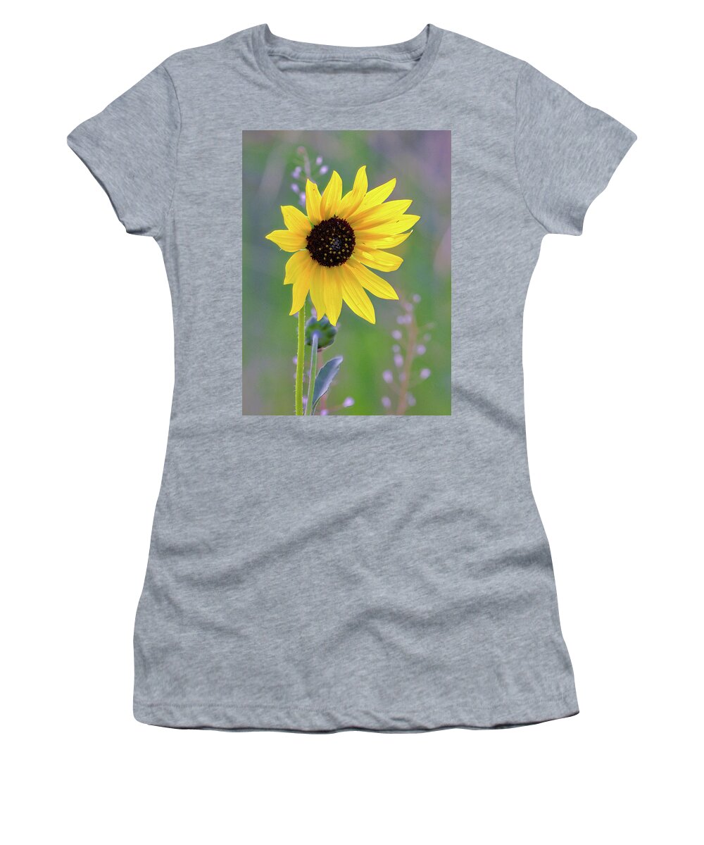 Sunflower Women's T-Shirt featuring the photograph Sunflower #1 by Bob Falcone