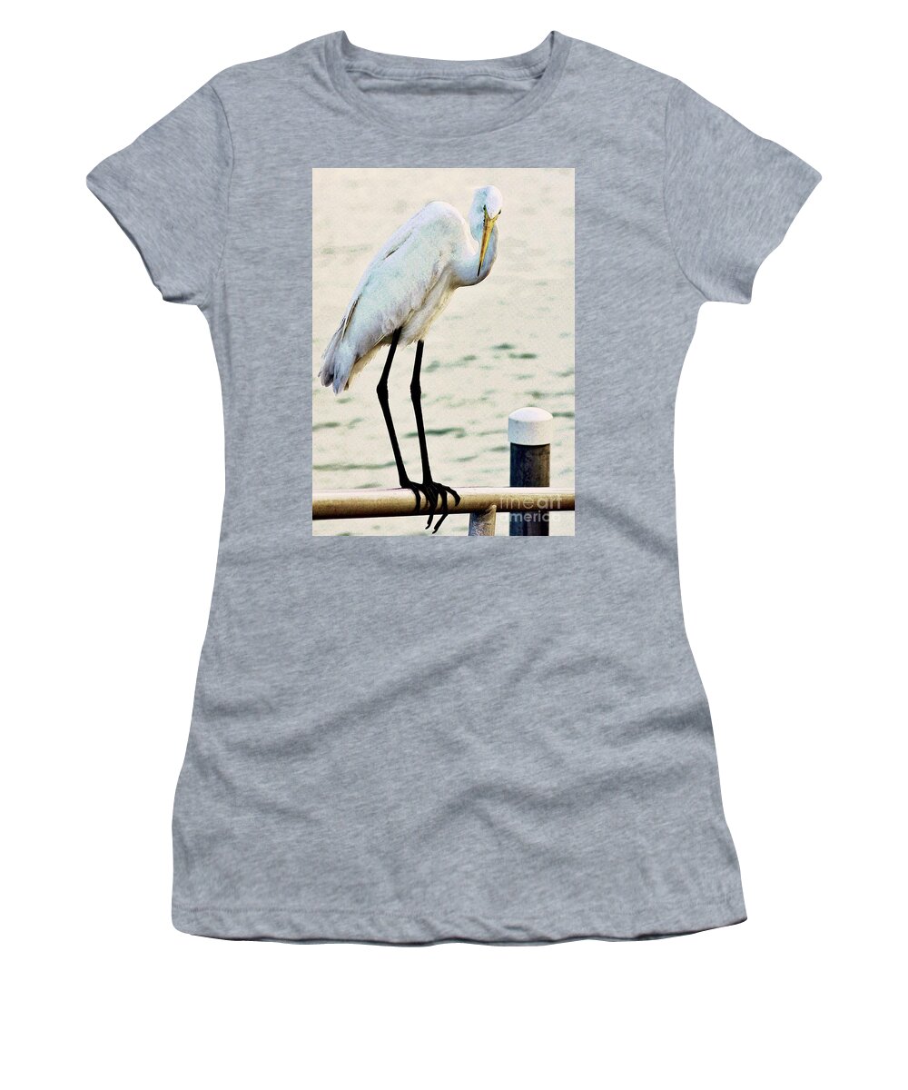 Great Egret Women's T-Shirt featuring the photograph Waiting #1 by Hilda Wagner