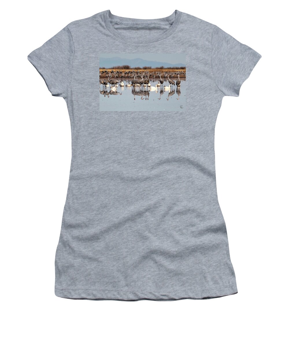 Arizona Women's T-Shirt featuring the photograph Whitewater Reflections #1 by Robert Harris