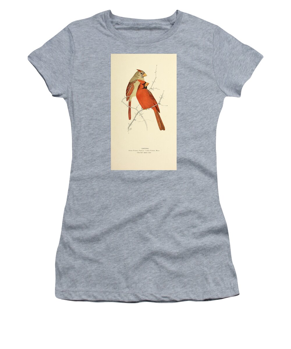 Birds Women's T-Shirt featuring the mixed media Beautiful Vintage Bird #1018 by World Art Collective