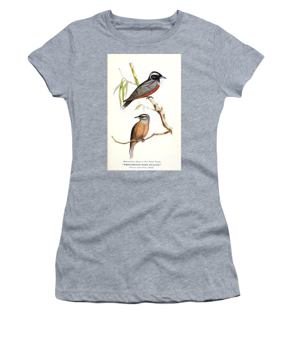 Birds Women's T-Shirt featuring the mixed media Beautiful Vintage Bird #1050 by World Art Collective