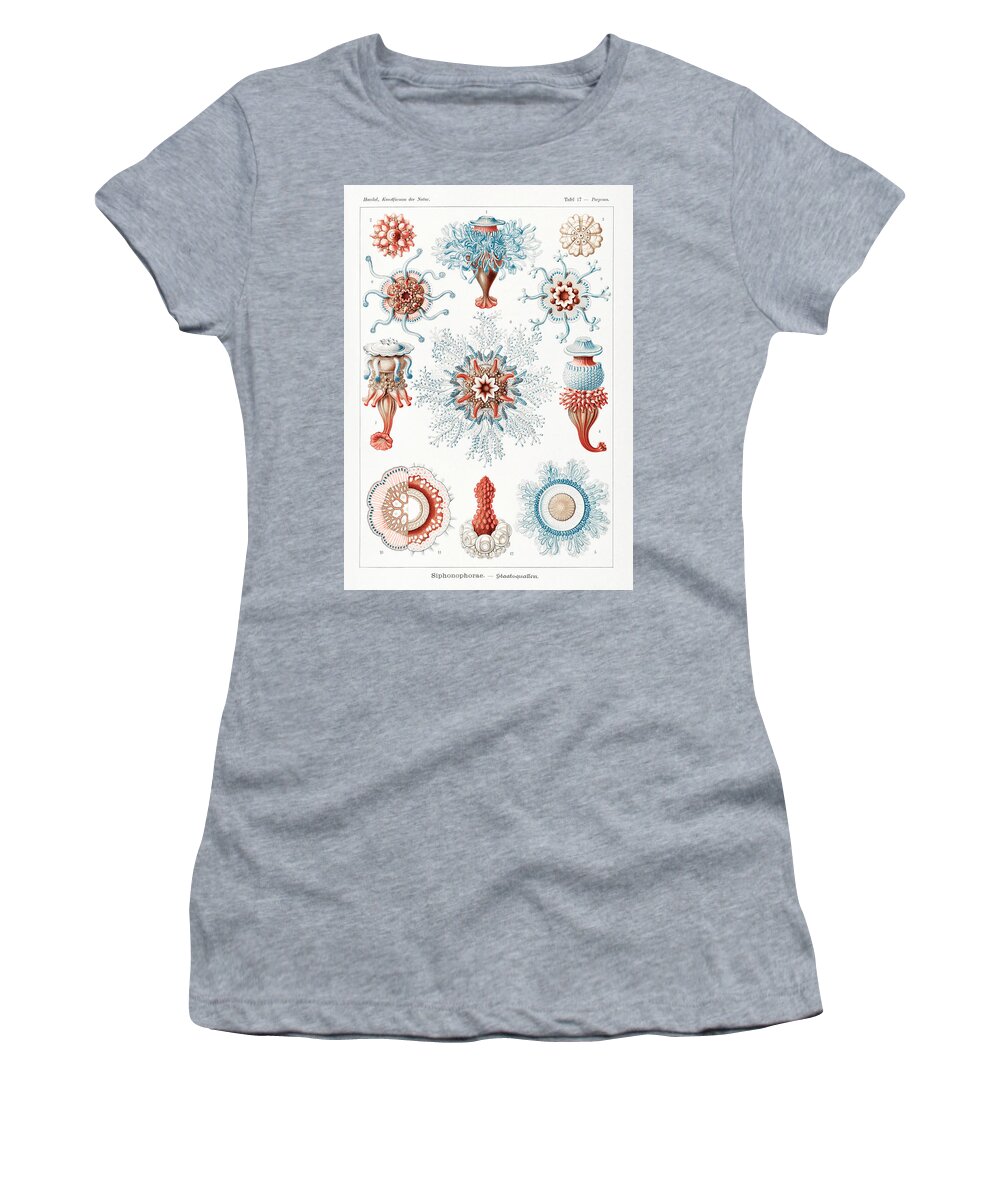 Siphonophorae Women's T-Shirt featuring the mixed media Ernst Haeckel Illustrations #11 by World Art Collective