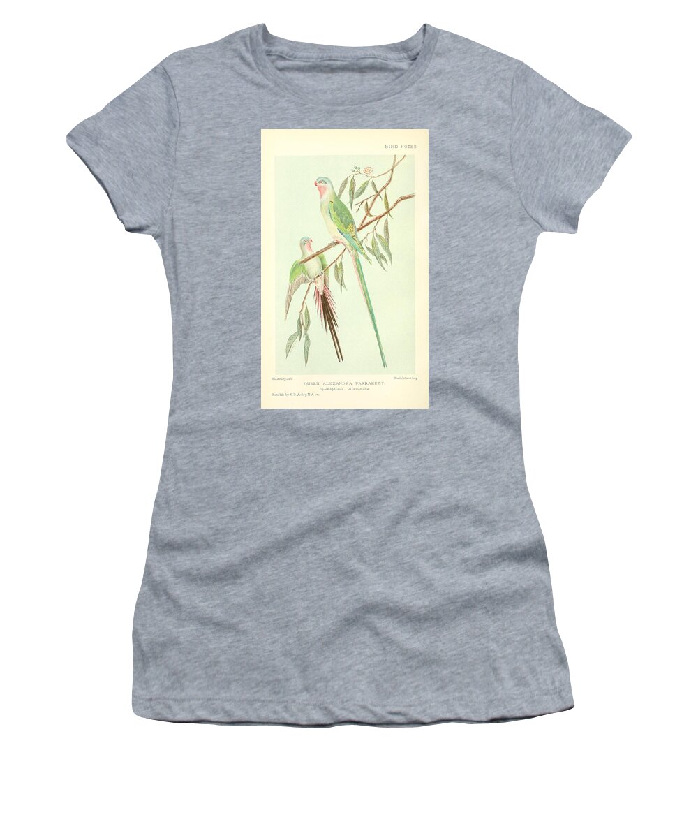 Parrot Women's T-Shirt featuring the mixed media Beautiful Vintage Parrot #159 by World Art Collective