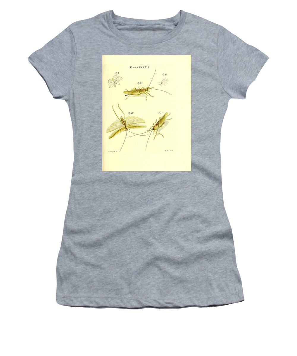 Grasshoppers Women's T-Shirt featuring the mixed media Insects #173 by World Art Collective