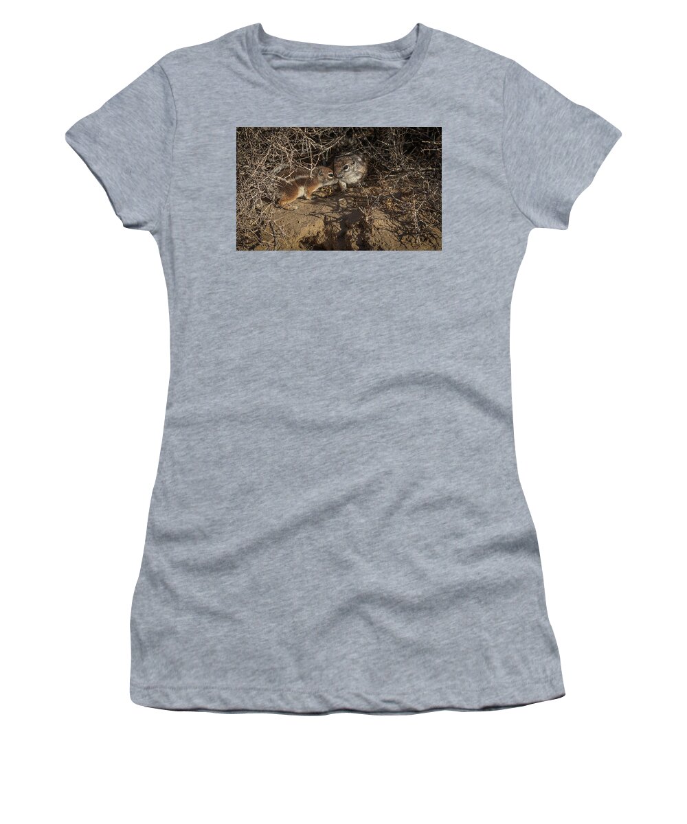 Lahontan Women's T-Shirt featuring the photograph California Ground Squirrel #2 by Rick Mosher