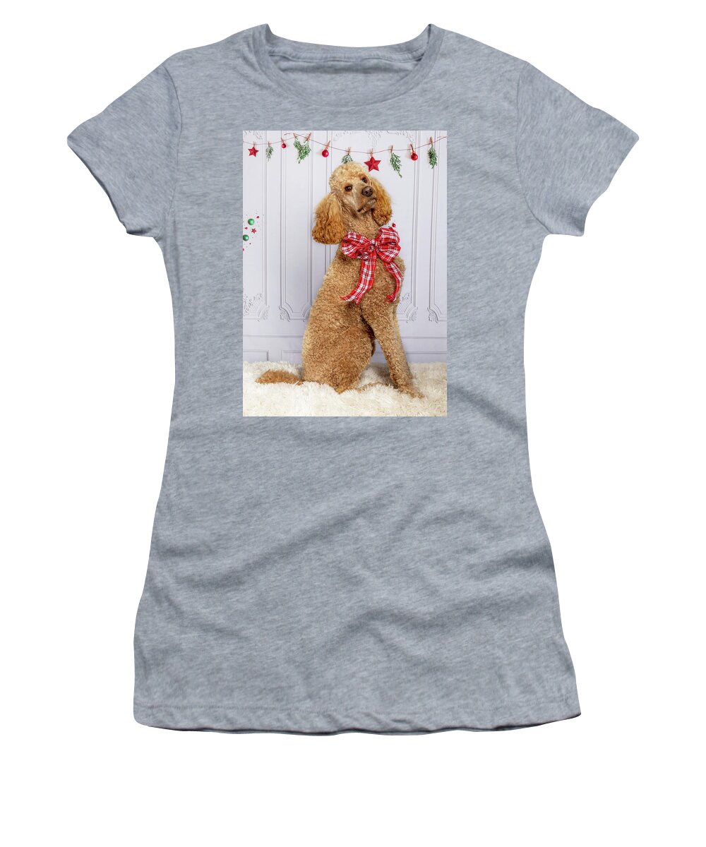 Standard Poodle Women's T-Shirt featuring the photograph Chester 2 #2 by Rebecca Cozart