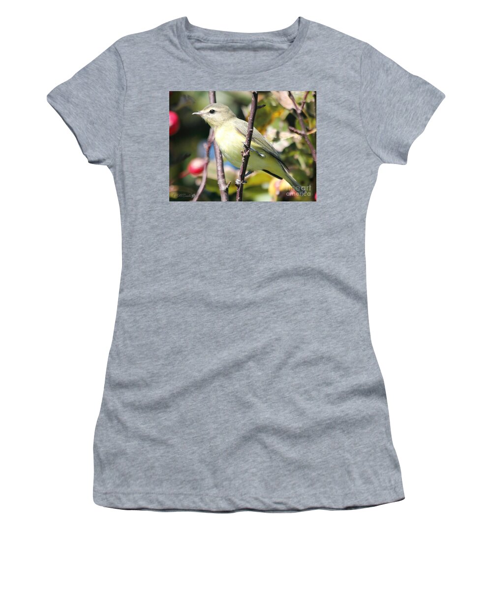 Mccombie Women's T-Shirt featuring the photograph Female Tennessee Warbler #1 by J McCombie