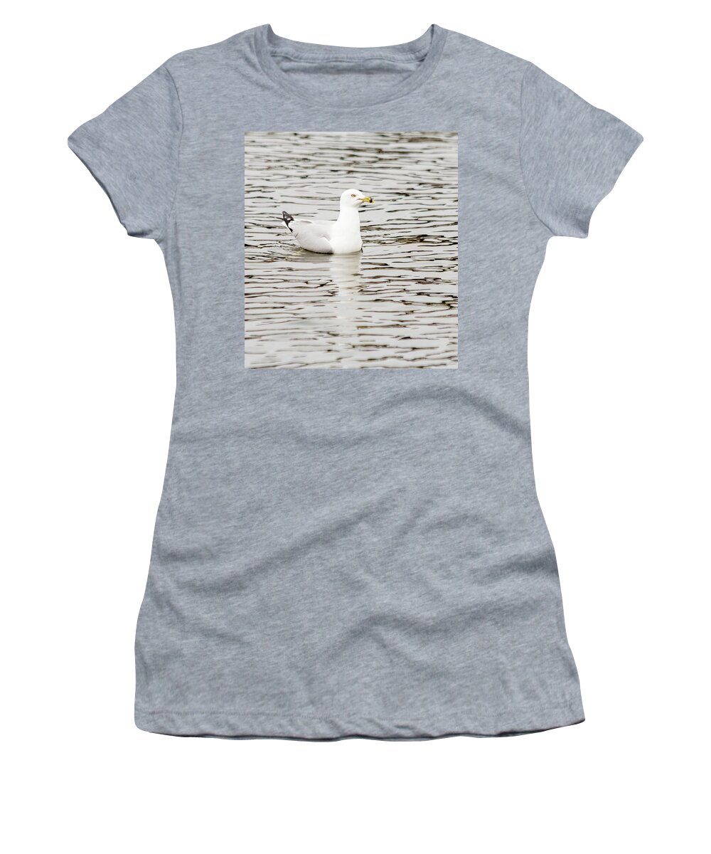 Larus Delawarensis Women's T-Shirt featuring the photograph Gull floats on water #2 by SAURAVphoto Online Store