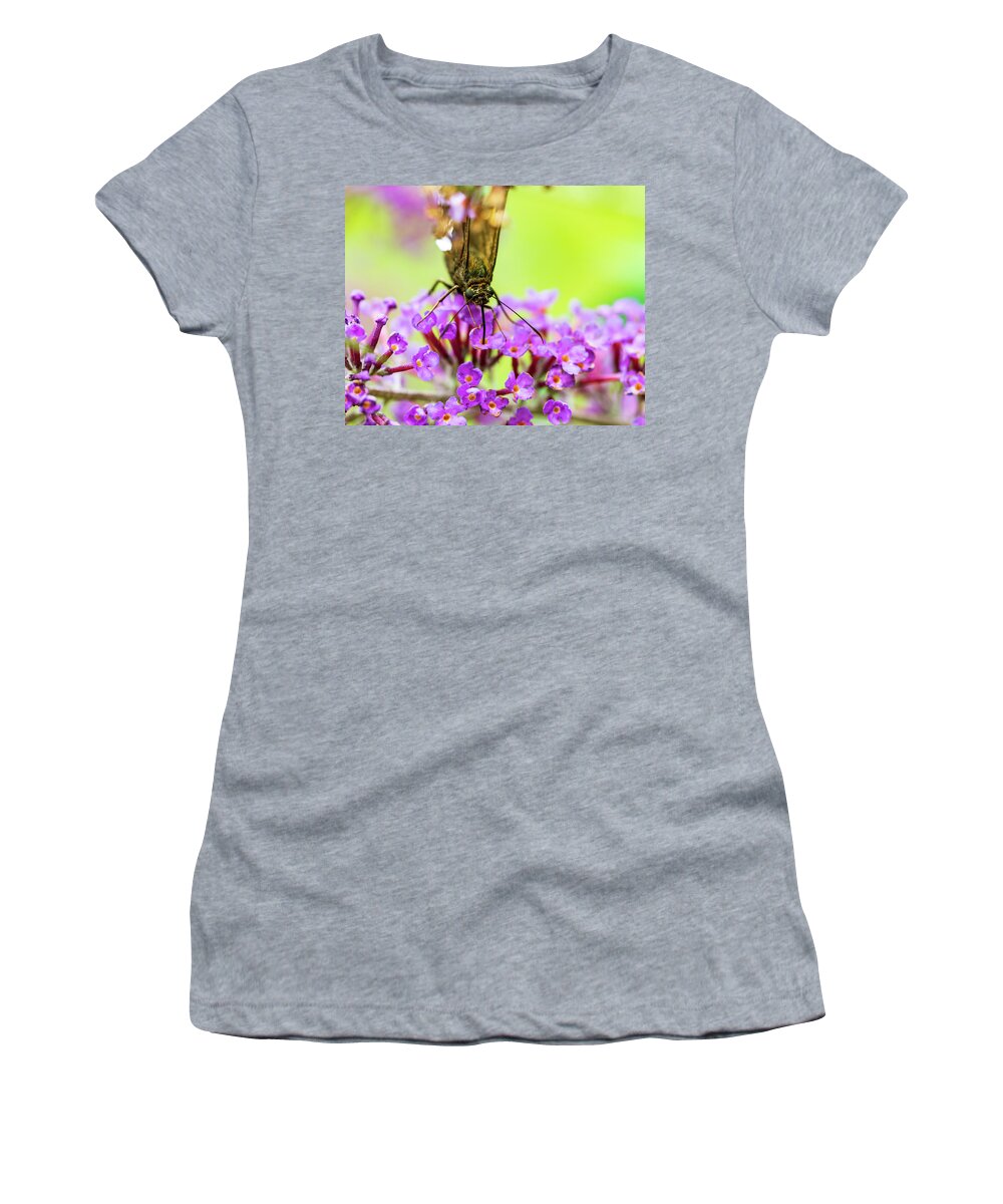Plants Women's T-Shirt featuring the photograph Macro Photography - Butterfly #2 by Amelia Pearn