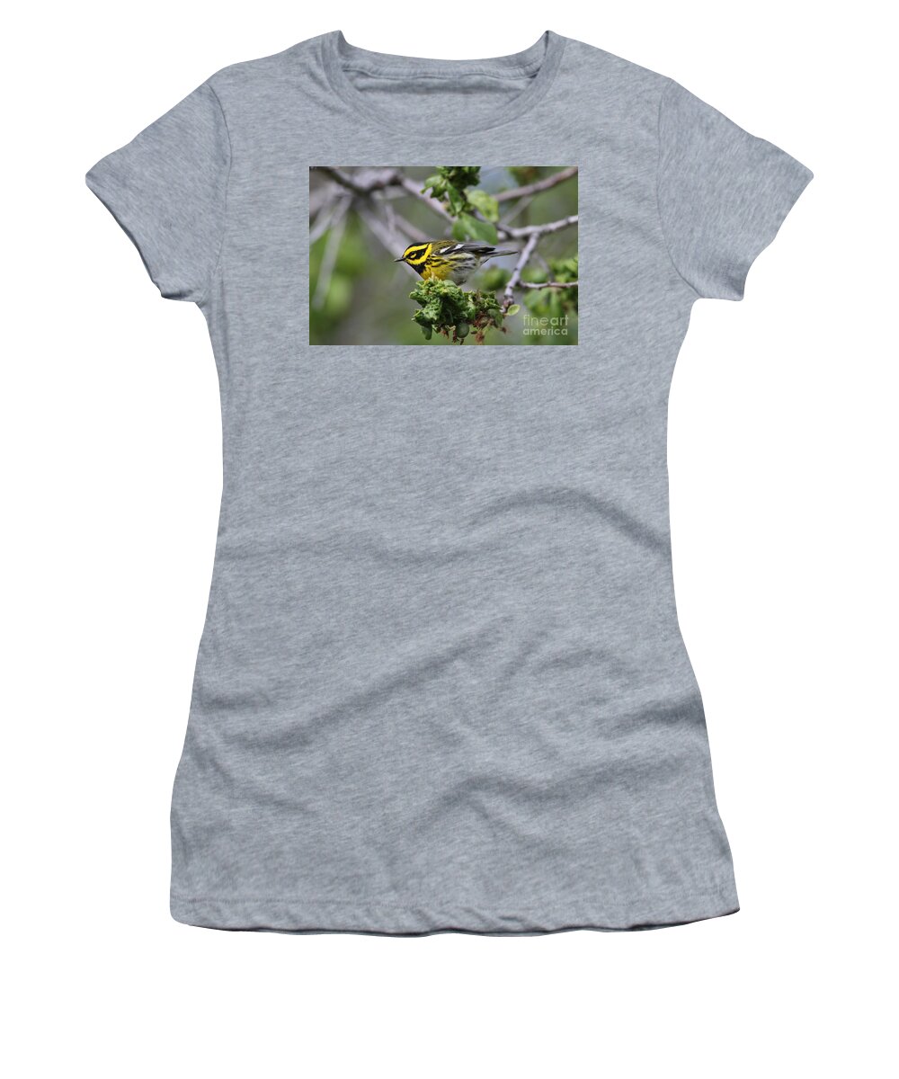 Townsends Warbler Women's T-Shirt featuring the photograph Townsends Warbler #2 by Gary Wing