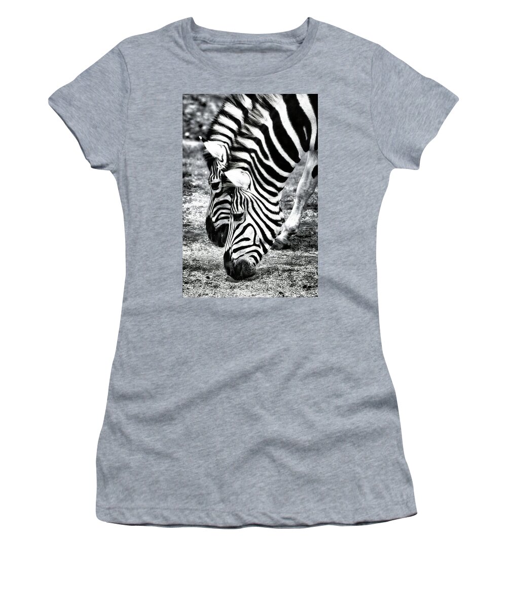 Zebra Women's T-Shirt featuring the photograph Zebras #2 by Robert Knight