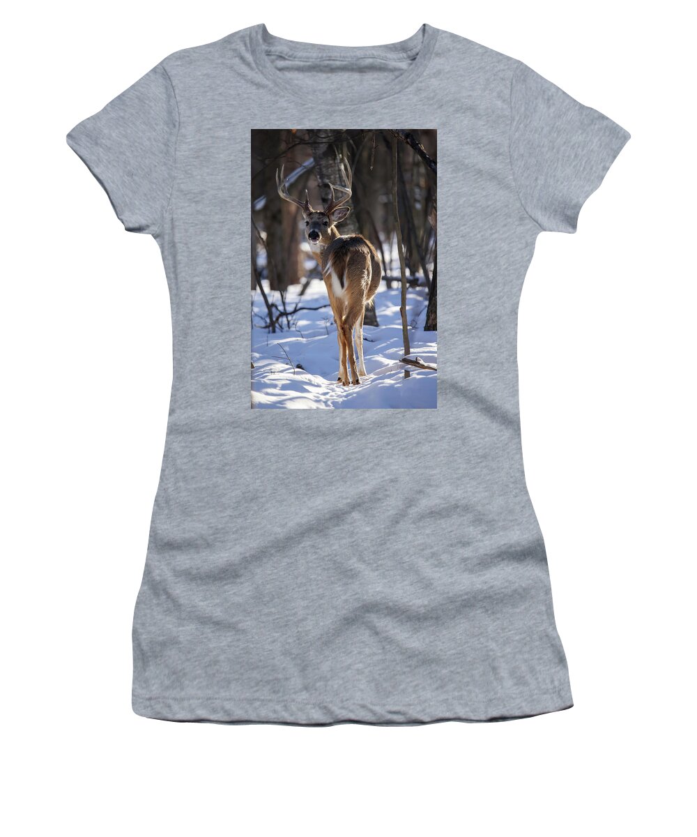 Whitetail Women's T-Shirt featuring the photograph Whitetail Buck #21 by Brook Burling
