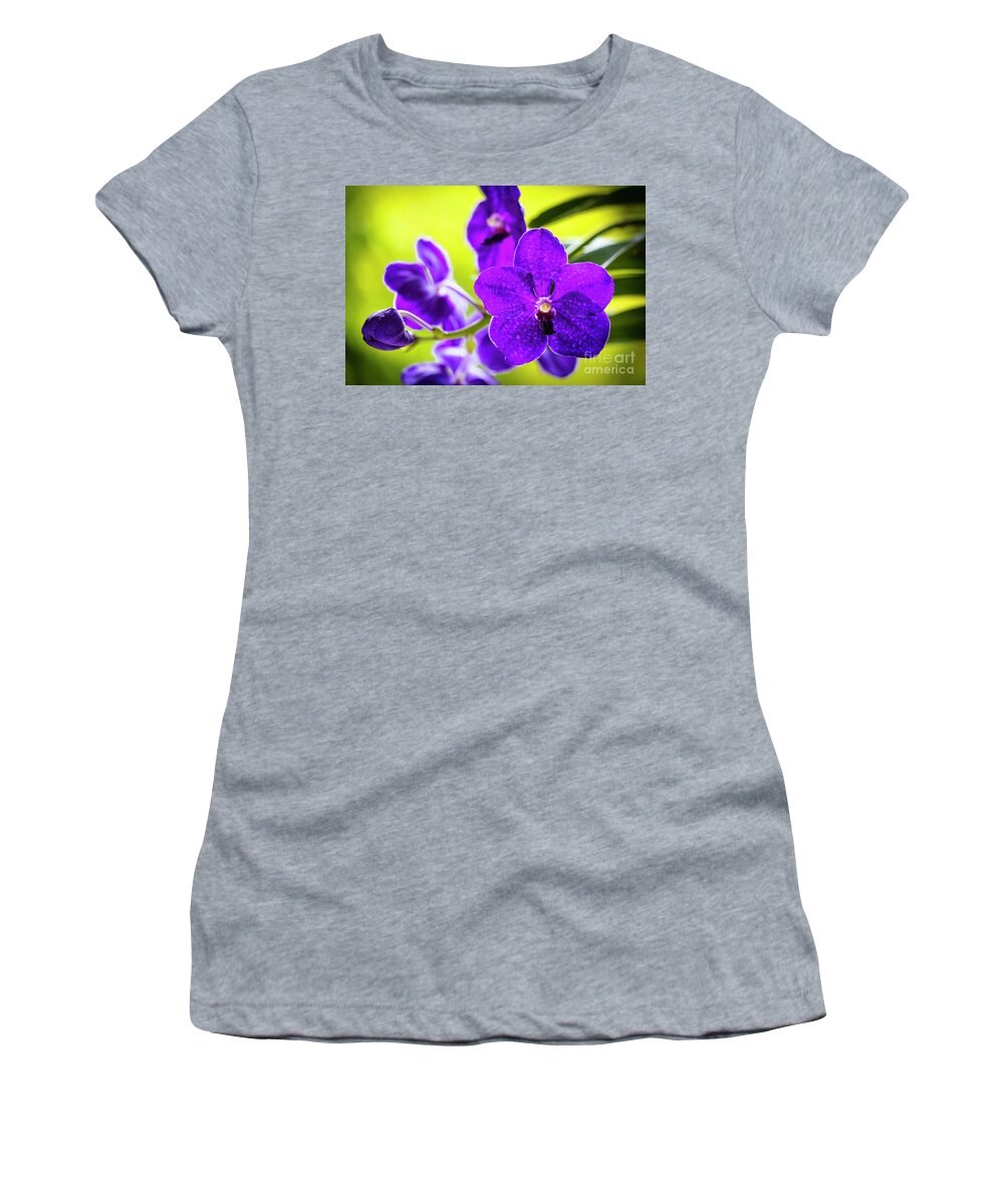Background Women's T-Shirt featuring the photograph Purple Orchid Flowers #27 by Raul Rodriguez