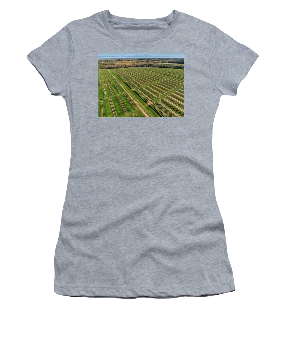 Tulip Women's T-Shirt featuring the photograph Aerial Tulip Farm #3 by Susan Candelario