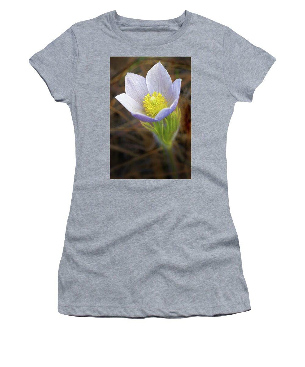 Pasque Flower Women's T-Shirt featuring the photograph Pasque Flower #3 by Bob Falcone