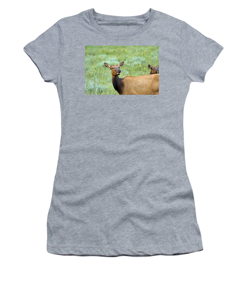 Co Women's T-Shirt featuring the photograph Rocky Mountain National Park #4 by Doug Wittrock
