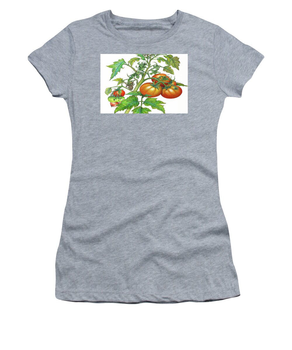 Tomatoes Women's T-Shirt featuring the digital art 3 Tomatoes 3c by Cathy Anderson