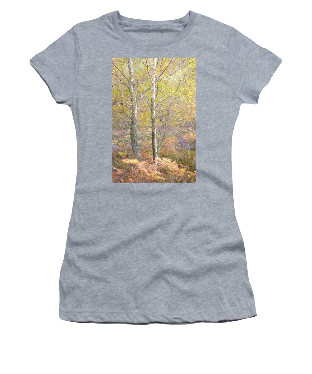 Autumn Women's T-Shirt featuring the photograph Autumn with bilberries, bracken and silver birch trees #4 by Anita Nicholson