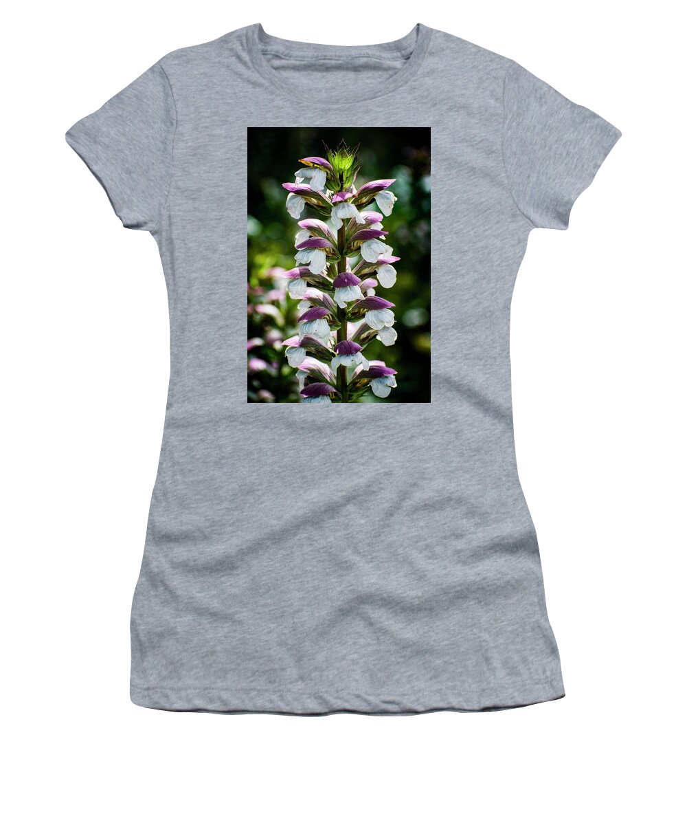 Flowers Women's T-Shirt featuring the photograph Nature Art #4 by Robert Grac
