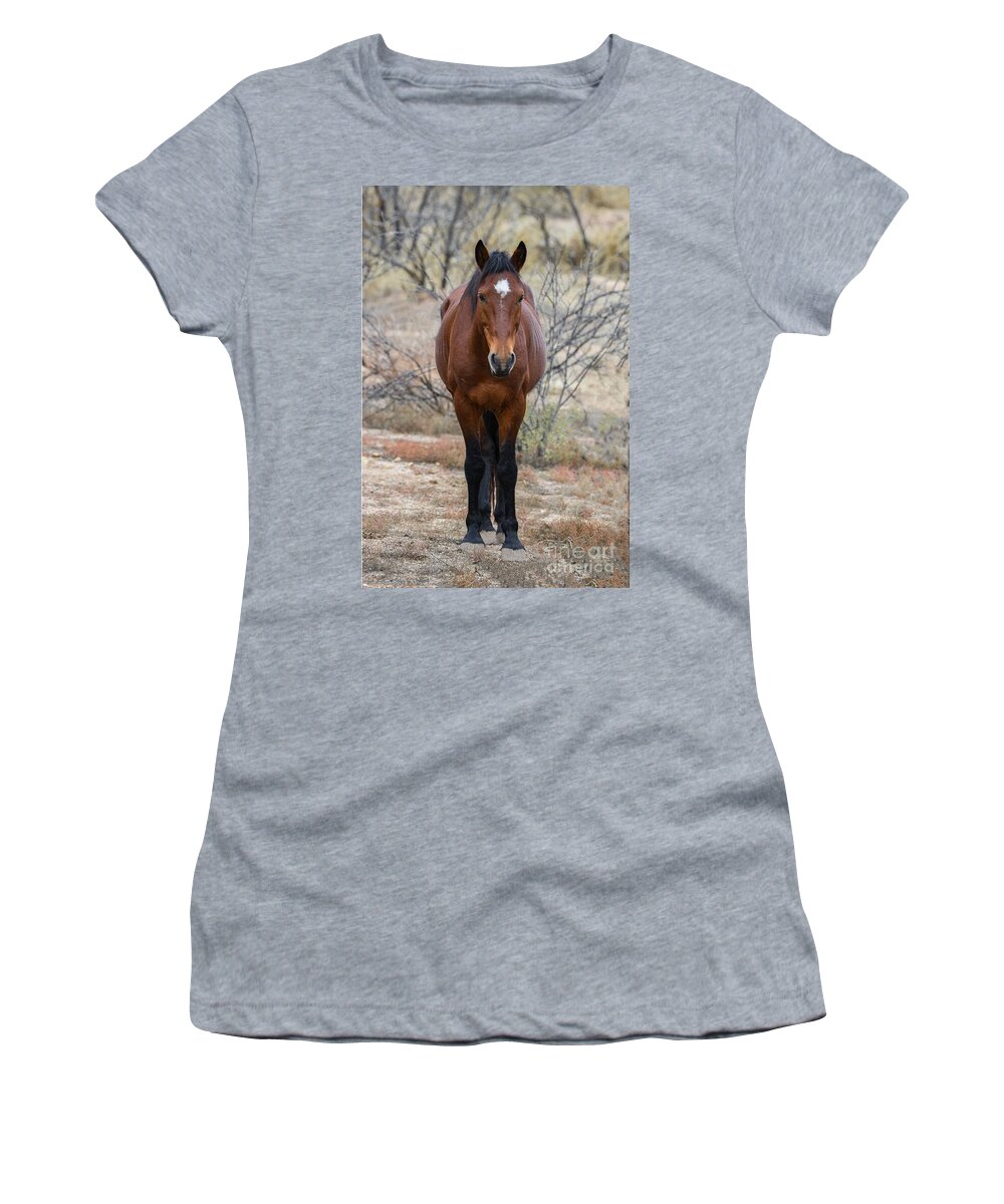 Mick The Salt River Wild Horse Women's T-Shirt featuring the digital art Mick #5 by Tammy Keyes
