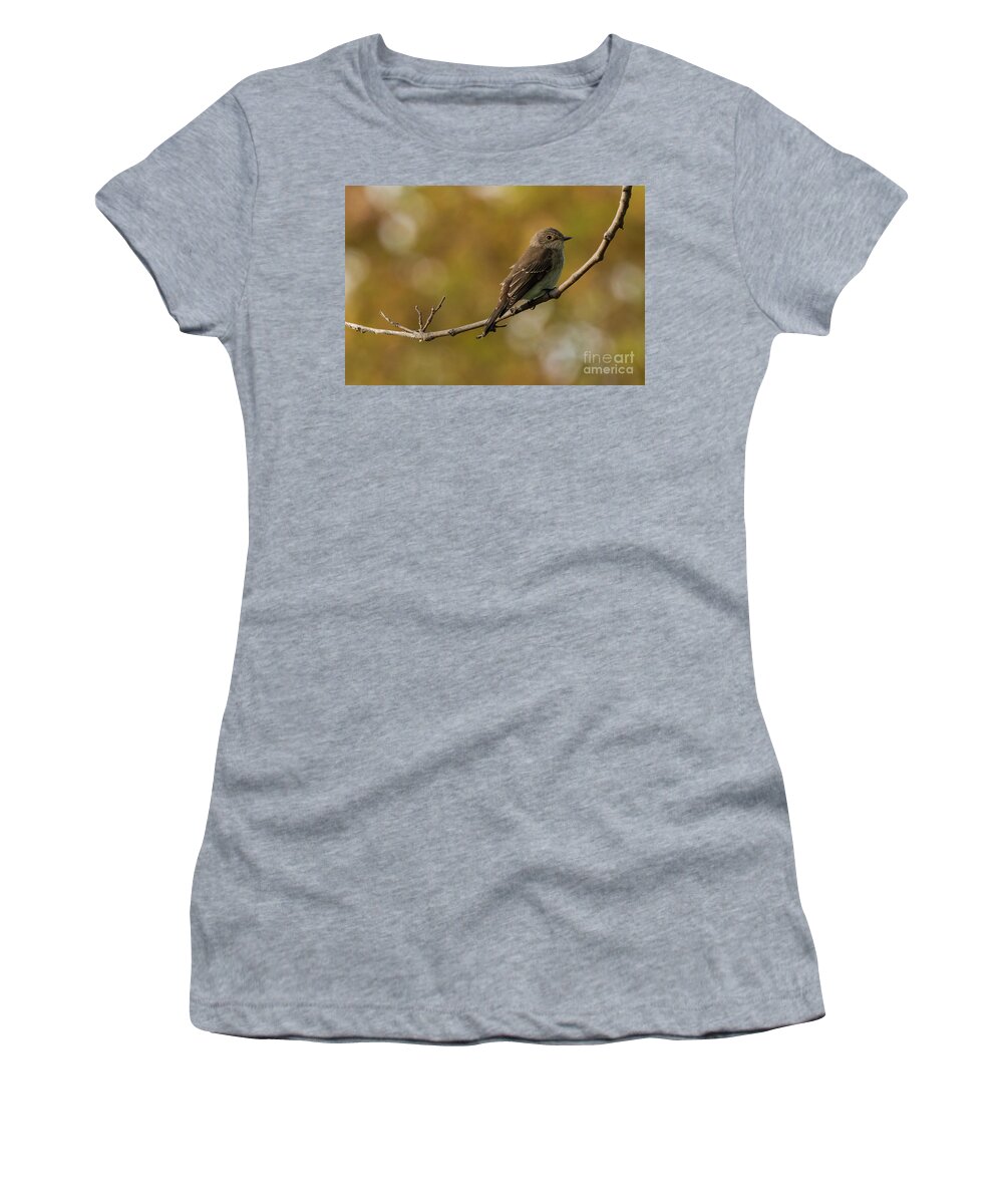 Breeding Women's T-Shirt featuring the photograph Spotted Flycatcher Muscicapa striata Costa Ballena Cadiz #5 by Pablo Avanzini