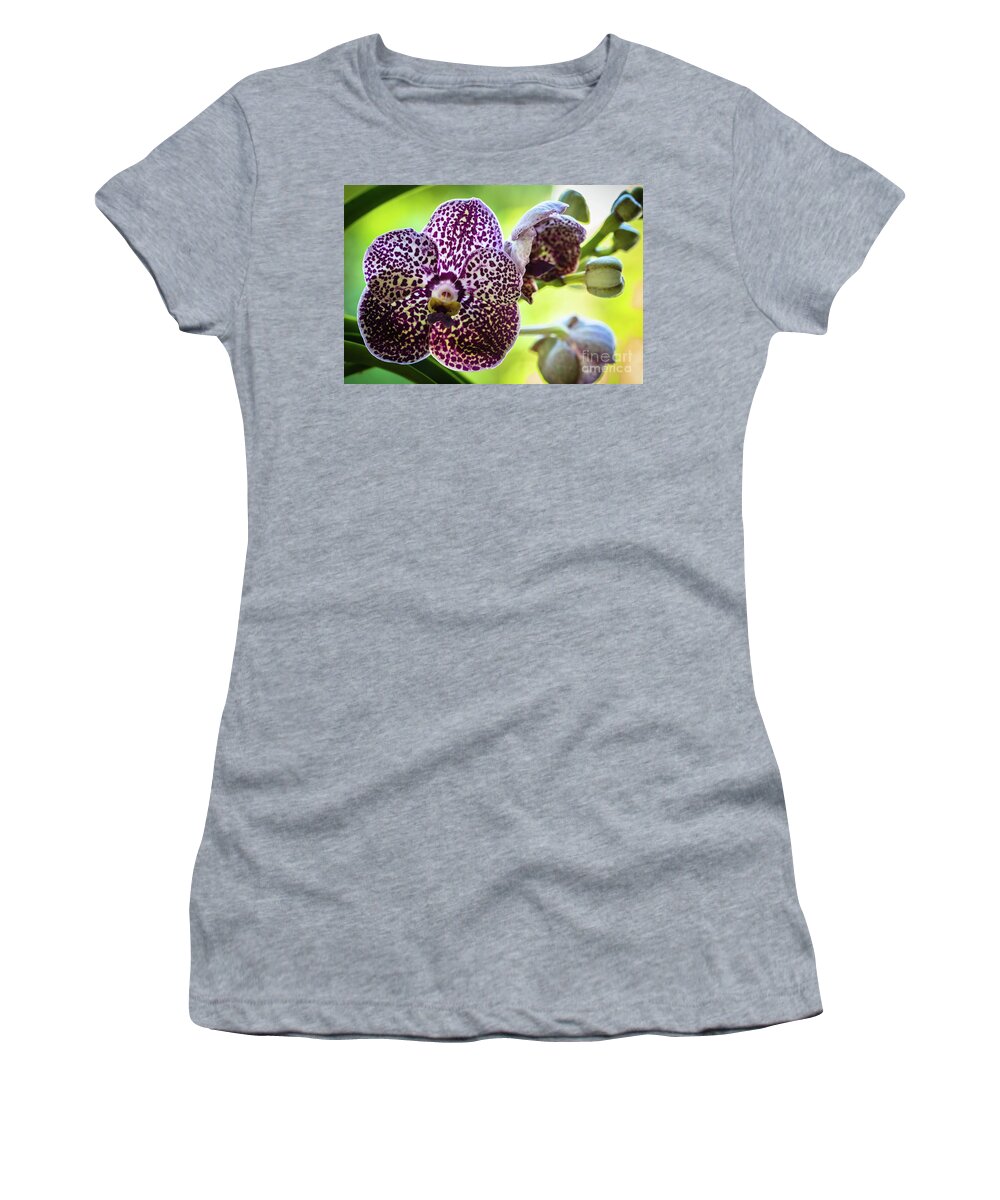 Ascda Kulwadee Fragrance Women's T-Shirt featuring the photograph Spotted Vanda Orchid Flowers #5 by Raul Rodriguez