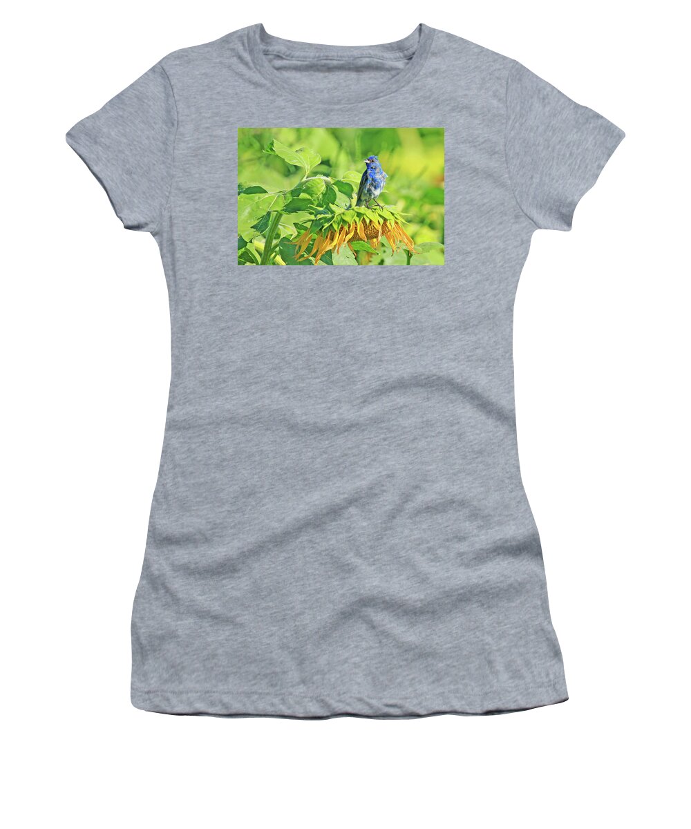 Indigo Bunting Women's T-Shirt featuring the photograph An Indigo Bunting Perched on a Sunflower #6 by Shixing Wen
