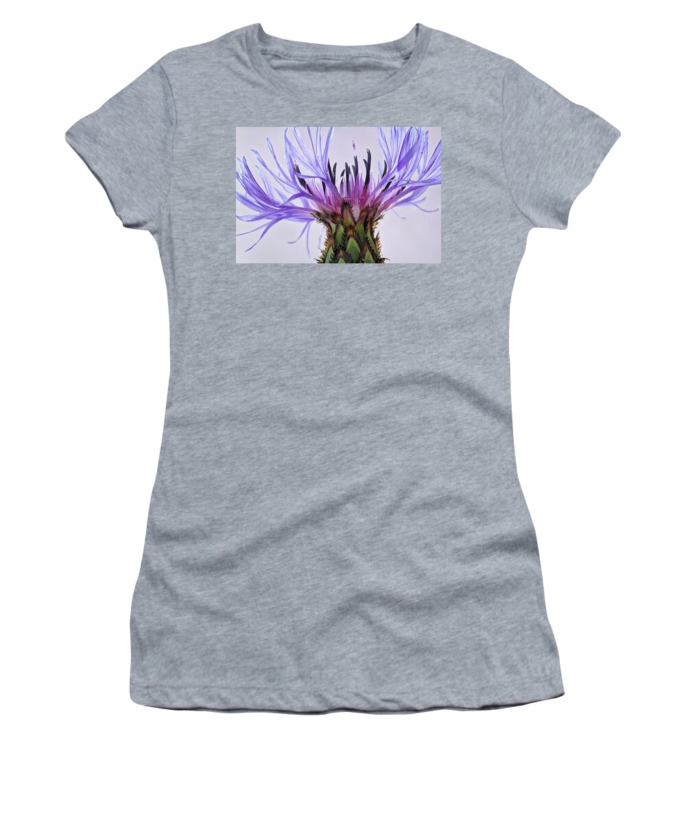 Floral Women's T-Shirt featuring the photograph Batchelors Button #6 by Shirley Mitchell