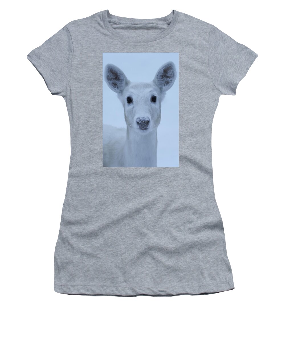 White Women's T-Shirt featuring the photograph White Doe #6 by Brook Burling