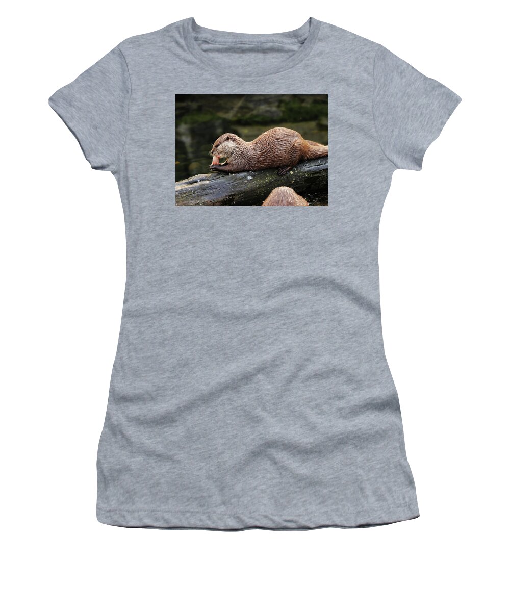 Asian Small-clawed Otter Women's T-Shirt featuring the photograph A asian small clawed otter lying on big tree trunk and eating small piece of meal or some small fish on dinner. After that she deserved some relaxing by Vaclav Sonnek