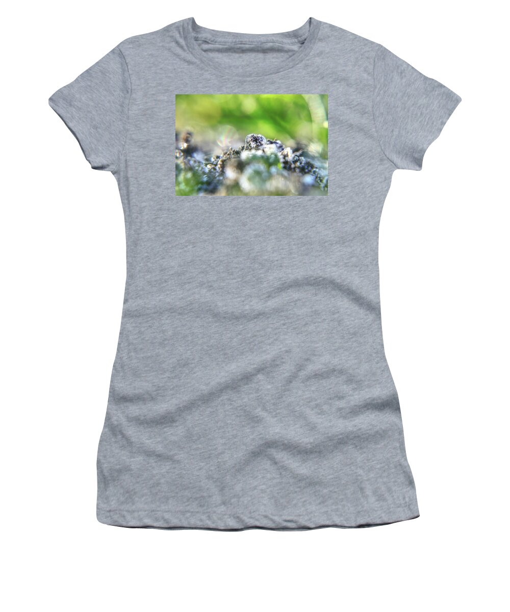 Environment Women's T-Shirt featuring the photograph A beautiful detail on small mole hill with hoarfrost. A white crystals on clay. Wonderful powerful of nature by Vaclav Sonnek