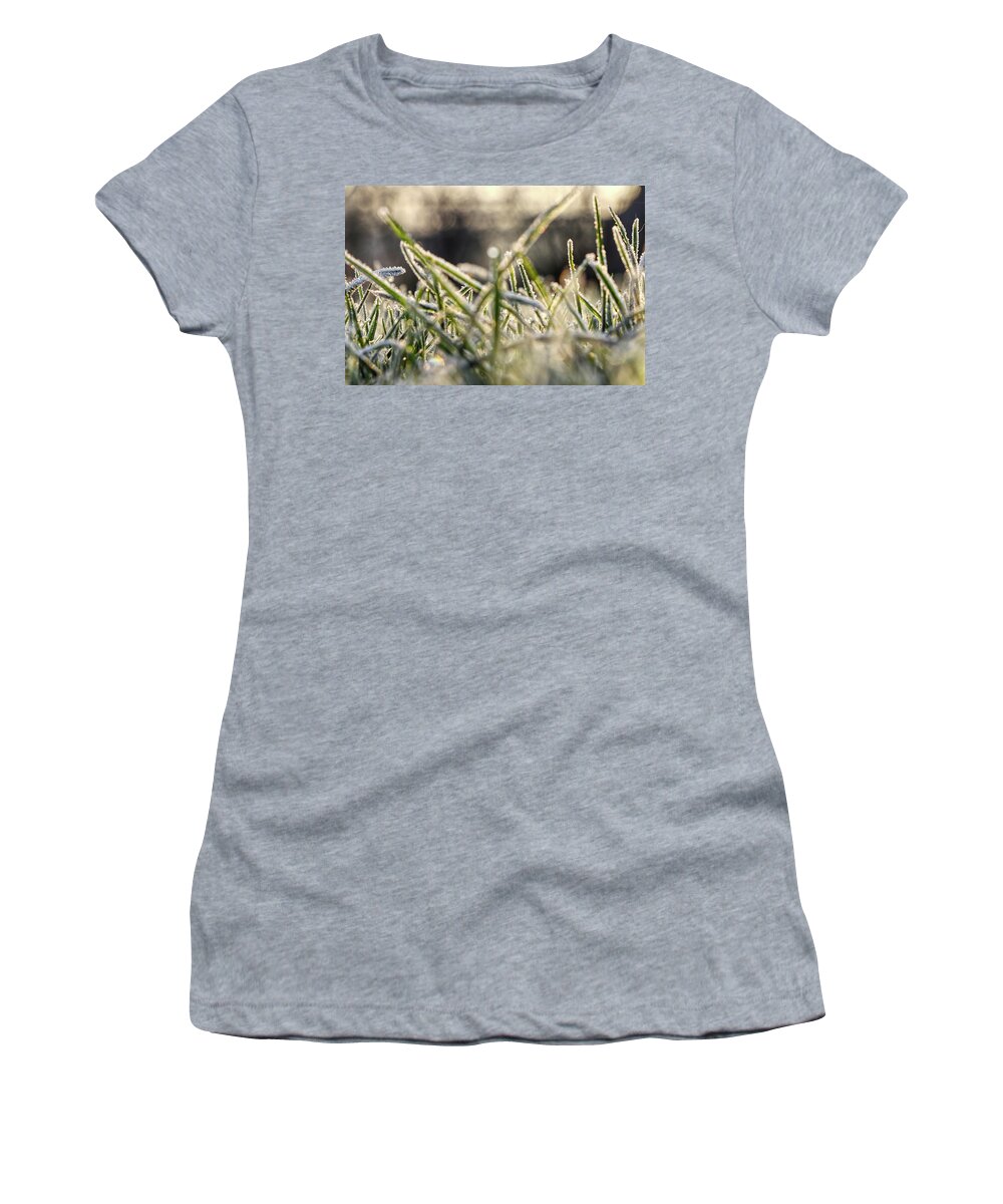 Environment Women's T-Shirt featuring the photograph Stems Of Grass On The Garden In Winter Months by Vaclav Sonnek